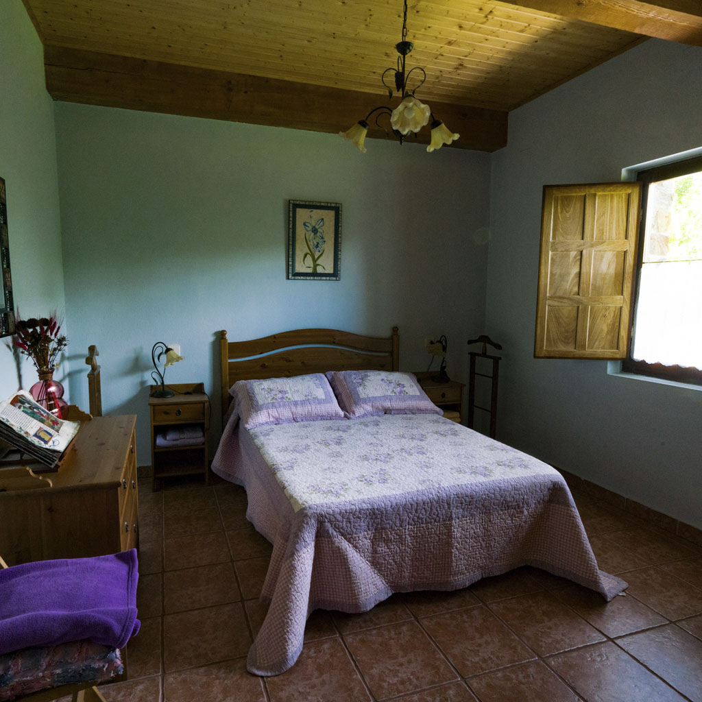 Casa Rural El salgueiro Burbia interior 7